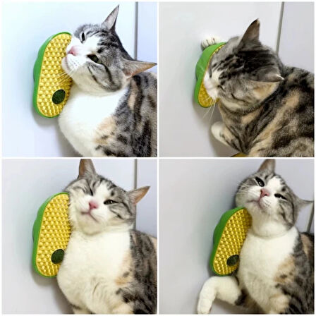 Leyloş Silikon Kaşıyıcılı Kedi Otu