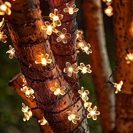 Leyloş Solar 5m 50 Led Papatya Gün Işığı 8 Fonksiyonlu