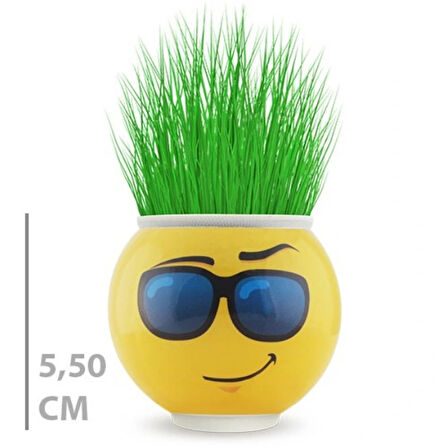Leyloş Çim Adam Saksı Emoji Figürlü 1 Adet