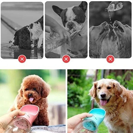 Buffer® Taşınabilir Evcil Hayvan Suluğu Seyahat Kabı Kilitlenebilen Su Sızdırmaz Kap 350 Ml