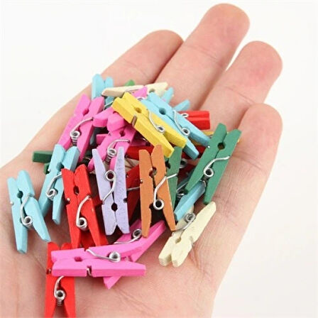 Leyloş Ahşap Renkli Mini Mandal 100 Adet