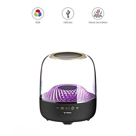Leyloş D33 Siyah Taşınabilir Kablosuz Bluetooth Hoparlör