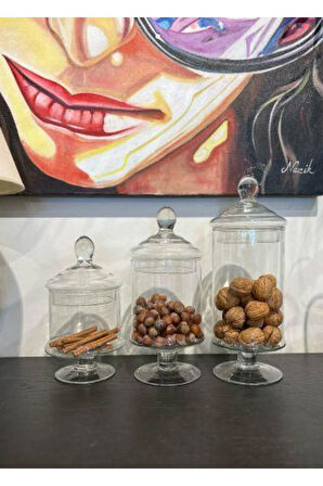 The Mia Scatola Kapaklı Ayaklı Sunum Kavanoz 34x12 Cm Cam0226