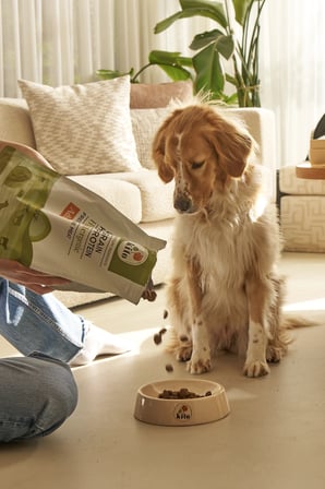 Kito 3 adet 2,5 kg yetişkin köpek maması