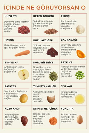 Kito Kuzu Etli Yavru Köpek Maması 2,5 KG + 6 Adet Kito Fresh Kuzu Etli %100 Taze İçerikli Mama