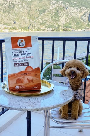 Kito Kuzu Etli Yetişkin Mini Irk Köpek Maması 2,5 KG + 6 Adet Kito Fresh Kuzu Etli %100 Taze İçerikli Mama
