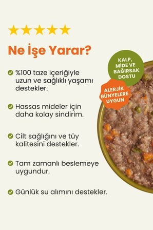 Kito Kuzu Etli Yetişkin Mini Irk Köpek Maması 2,5 KG + 6 Adet Kito Fresh Hindi Etli %100 Taze İçerikli Mama