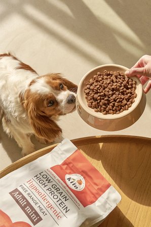 Kito 3 adet 2,5 kg adult mini köpek maması