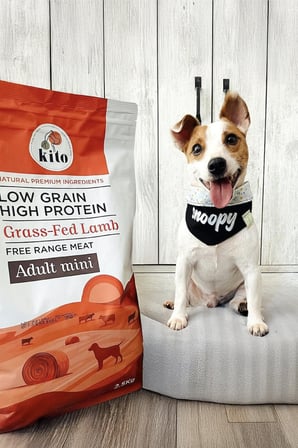 Kito 3 adet 2,5 kg adult mini köpek maması