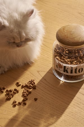 Kito 3 adet 2 kg kısır kedi maması