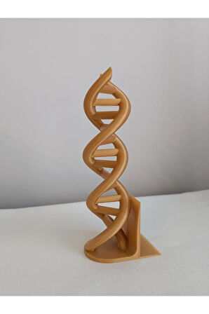 Just3dprintings Dna Helix Tasarımlı Kitap Tutucu