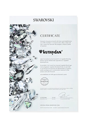 Kutaydan SWR Zirconia Pırlanta Kesim Yuvarlak Kadın Gümüş Kolye