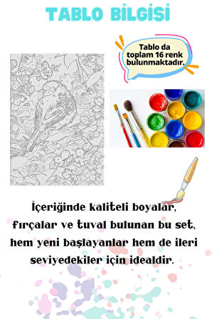 Sayılarla Boyama Çerçeveli Hobi Seti Numaralı Tuval Fırça Boya Dahil Kasnaklı PEMBE KUŞ 40X50 Cm
