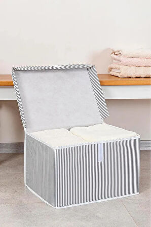 (5 ADET) ALAS Çok Amaçlı Kapaklı Kutu Saklama Kutusu Mini Boy Tela 40*30*26 Cm