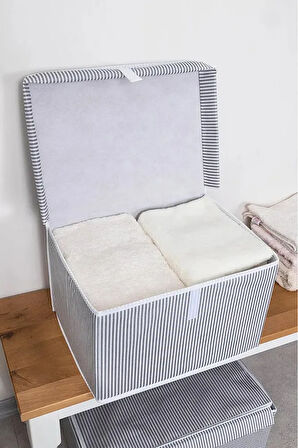(5 ADET) ALAS Çok Amaçlı Kapaklı Kutu Saklama Kutusu Mini Boy Tela 40*30*26 Cm