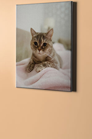 Sayılarla Boyama Seti Kasnaklı Minik Kedi 1 50x65 Cm