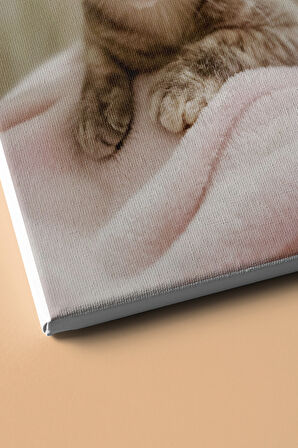 Sayılarla Boyama Seti Kasnaklı Minik Kedi 1 50x65 Cm