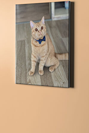 Sayılarla Boyama Seti Çerçeveli Kasnaklı Süslü Kedi 50x65 Cm