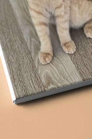 Sayılarla Boyama Seti Çerçeveli Kasnaklı Süslü Kedi 50x65 Cm