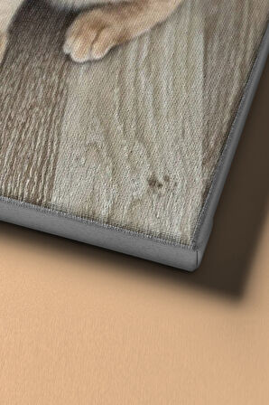 Sayılarla Boyama Seti Çerçeveli Kasnaklı Süslü Kedi 60x75 Cm