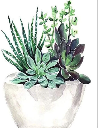 Saksıdaki Çiçekler Sayılarla Boyama Seti Kasnaklı 50x65