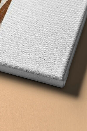 Pembe Sakız Ve Zürafa Sayılarla Boyama Seti Kasnaklı 40 X 50 Cm