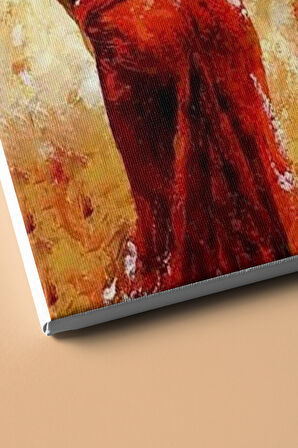 Tutkulu Kadın Sayılarla Boyama Seti Kasnaklı 40x50 Cm