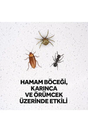 Raid Böcek Öldürücü Sprey, 300 ml (Hamam Böceği, Karınca ve Örümceklere Karşı)
