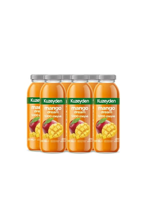 %100 Meyve Mango Dream (6x250ml)