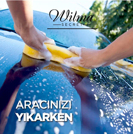 wilma secret Oto Yıkama Süngeri - 3'lü Set - Sarı-Pembe-Mavi