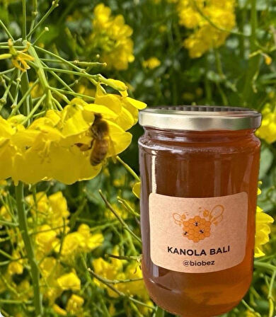 KANOLA BALI