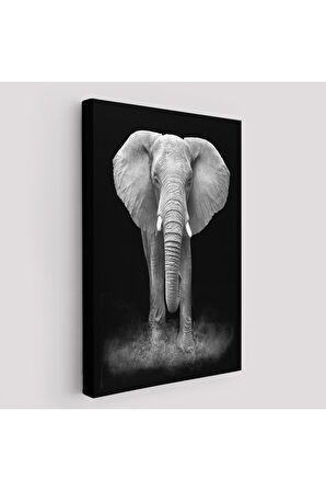 Dev Fil Yüksek Kaliteli Kanvas Canvas Tablo Tabloları