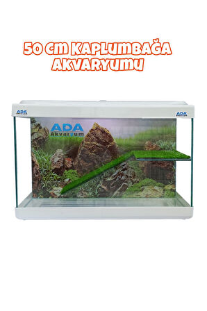 Ada Akvaryum Su Kaplumbağası Akvaryumu Bahçeli Rampalı Dinlenme  50x30x25 Cm  Arka Plan Hediyeli