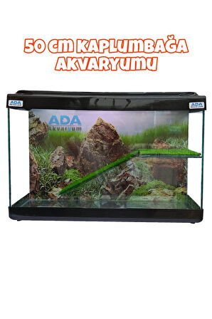 Ada Akvaryum Su Kaplumbağası Akvaryumu Bahçeli Rampalı Dinlenme  50x30x25 Cm  Arka Plan Hediyeli