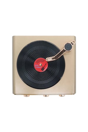 Metalik Nostaljik Tasarım Plak Çalar Görünümlü Radyolu Bluetooth Hoparlör Retro Müzik Plak