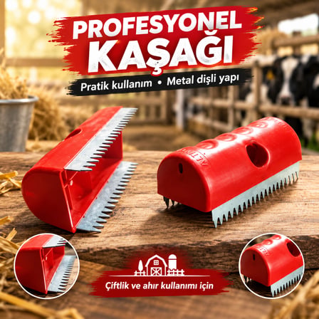 Kaşağı