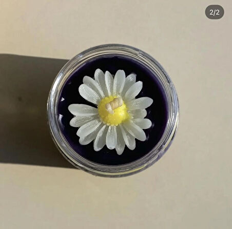 Bambumum kavanoz papatya mum 