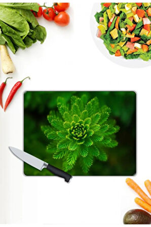 Çiçek Desen Cam Kesme Tablası | Hediyelik, Dekoratif, Ofis, Mutfak