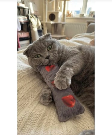 Yumuşak Peluş Kedi Oyuncağı Kedi Oyun ve Aktivite Kediler İçin Peluş Oyun Arkadaşı Isırma, Yakalama ve Eğlence