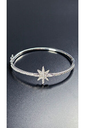 Zirkon Taşlı, Kutup Yıldızı, Platinyum Kap. Çelik Bileklik 176, Gümüş Renk