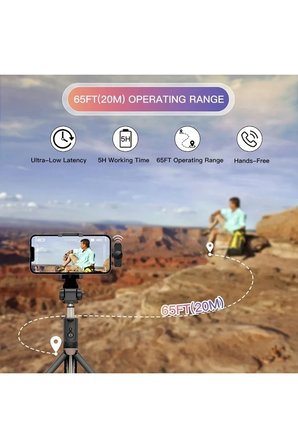 Type-C Çiftli Kablosuz Yaka Mikrofon Seti Telefon Vlog Canlı Yayın TikTok YouTube Uyumlu