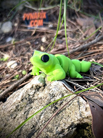 Kertenkele Oyuncak - Hızlı ve Çevik Kaşif Yeşil🦎🌵🌞 3d Hareketli Organik Model- Orta Boy