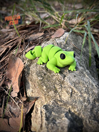 Kertenkele Oyuncak - Hızlı ve Çevik Kaşif Yeşil🦎🌵🌞 3d Hareketli Organik Model- Orta Boy