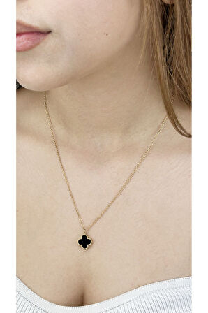 Van Figürlü, Paslanmaz Çelik Kolye 228, Zincir Altın Renk, Figür Siyah