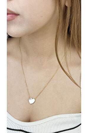 Sedefli Kapl Figürlü, Paslanmaz Çelik Kolye 251, Altın Renk