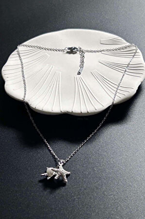 İncili, Deniz Yıldızı Paslanmaz Çelik Kolye 420, Gümüş Renk