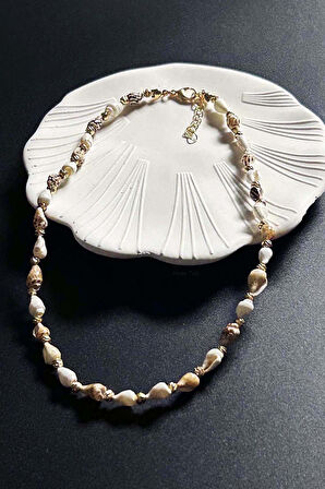 Deniz Kabuğu Kolye 425, Bej - Beyaz