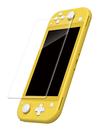 Nintendo Switch Lite Cam Ekran Koruyucu Film