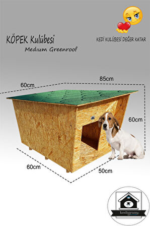 Köpek Kulübesi Greenroof M - Kedi Köpek Kulübesi