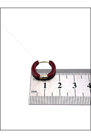 Bordo, Halka Model, Paslanmaz Çelik Küpe 573, Kasa Altın Renk